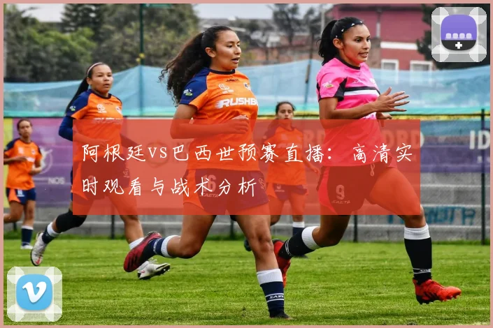 阿根廷vs巴西世预赛直播：高清实时观看与战术分析