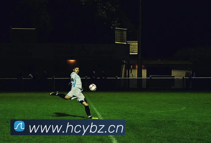 b sports官网登录入口平台生态图