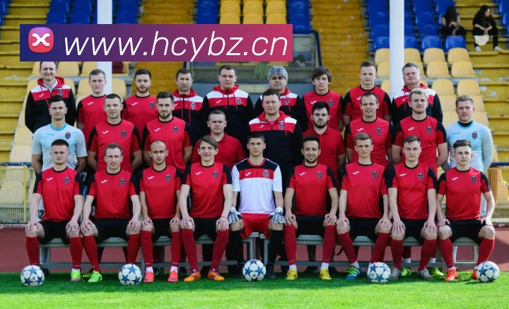 b sports官网登录入口全站App